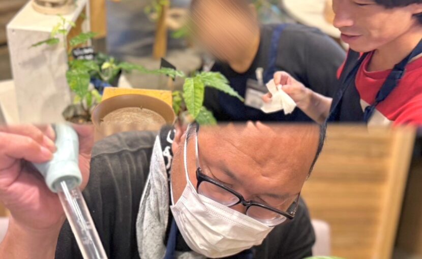 🌿🫧 植物のお世話 🫧🌿