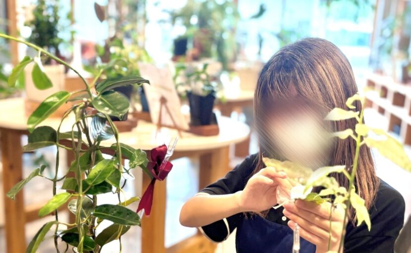 🌿🪴 植物担当の様子 🪴🌿