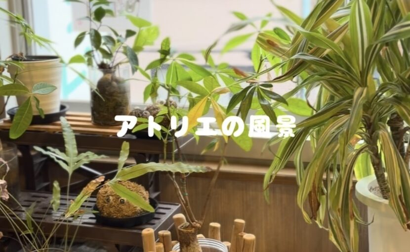 アトリエ風景🧶