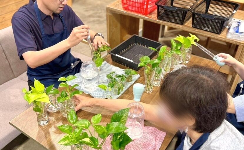 💧🌱 水耕栽培の様子 🌱💧