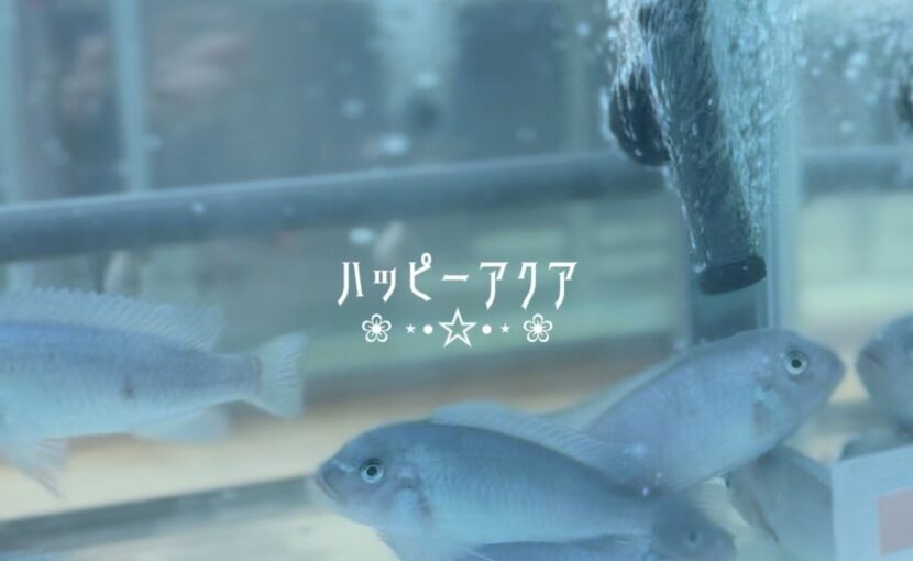 お魚たくさん🐟